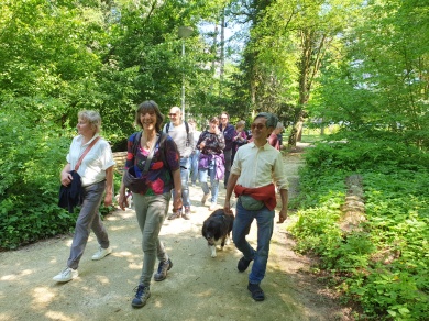 Sfeerimpressie van gezonde gezellige groene wandelingen bij  Stichting Gezond Natuur Wandelen