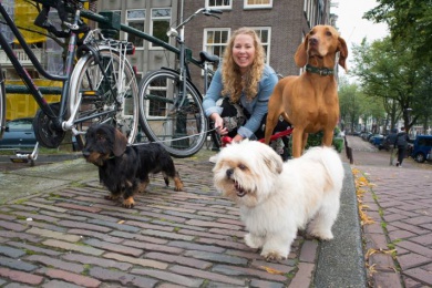 Sfeerimpressie van Kom wandelen met je hond (maar zonder mag ook) bij  De Regenboog Groep