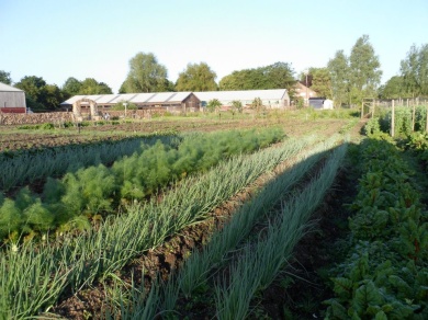 Sfeerimpressie van Lindenhoff Open Tuin bij  Lindenhoff Open Tuin