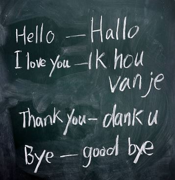 Sfeerimpressie van Nederlandse taal leren bij Dynamo