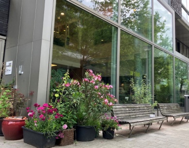 Sfeerimpressie van Sport, leefstijl en bewegen bij HVO-Querido